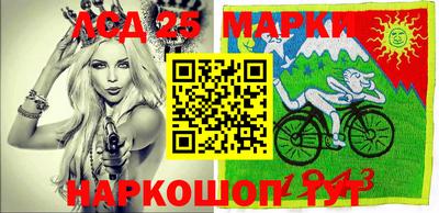 амф Кандалакша